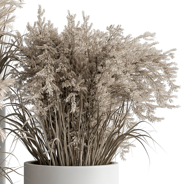 indoor Plant Set 406 - Dried Plant Set in Pot — Скачать
