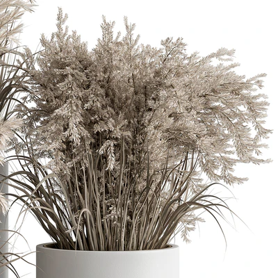 indoor Plant Set 406 - Dried Plant Set in Pot — Вид 4