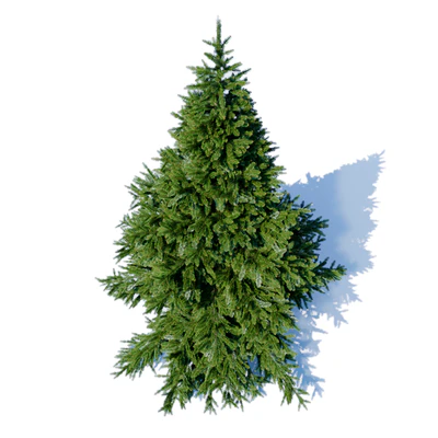 Prickly spruce 3m — Ver 4