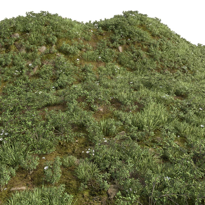 GRASS COLLECTION FOR LANDSCAPE NO12 — Вид 1