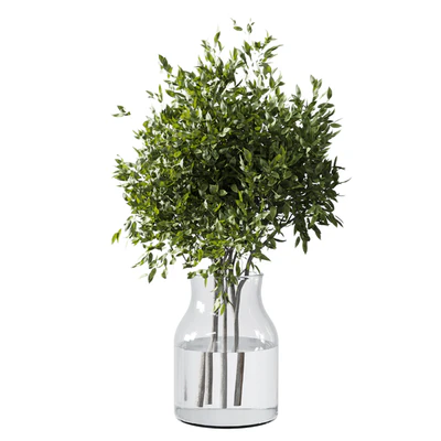 Collection Green Plants Bouquet Indoor 12 — Ver 6