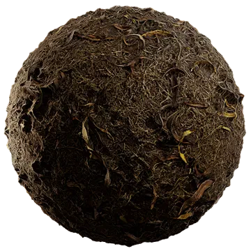 dried leaves 016 — Скачать