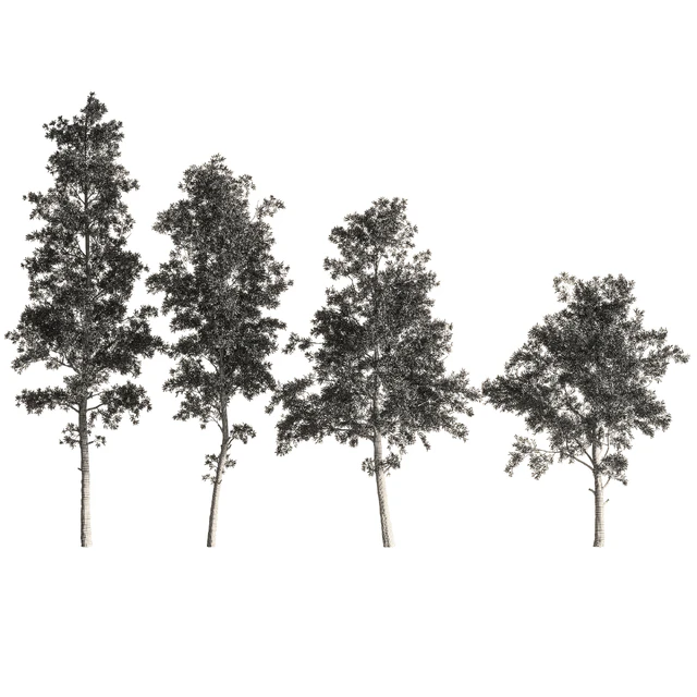 Eucalyptus tree forest 4 tree vray — Скачать