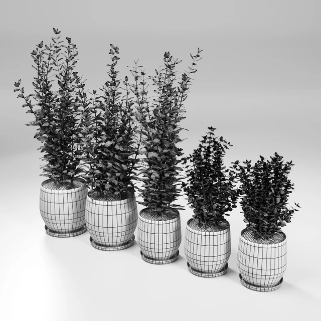 Kitchen Plant - Campana Gray Planters — Descargar
