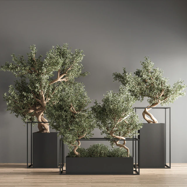indoor plant bonsai set 24 — Descargar
