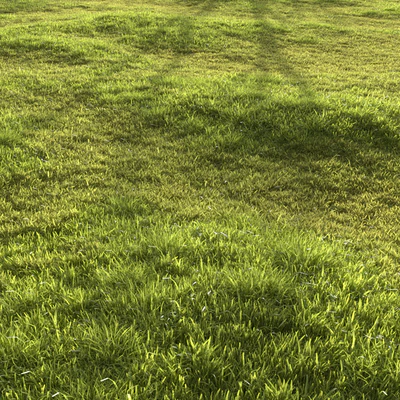 Garden grass — Ver 6