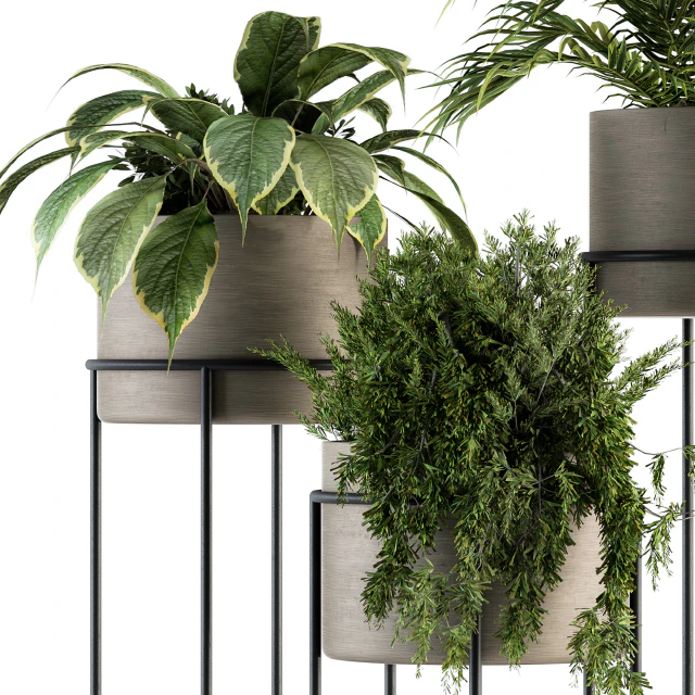 indoor Plant Set 129 - Plant Stand — Скачать