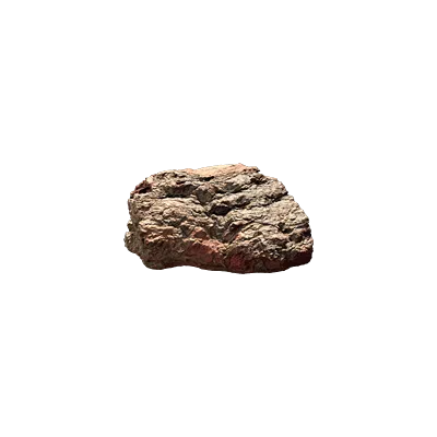 pine bark piece 003 — Descargar