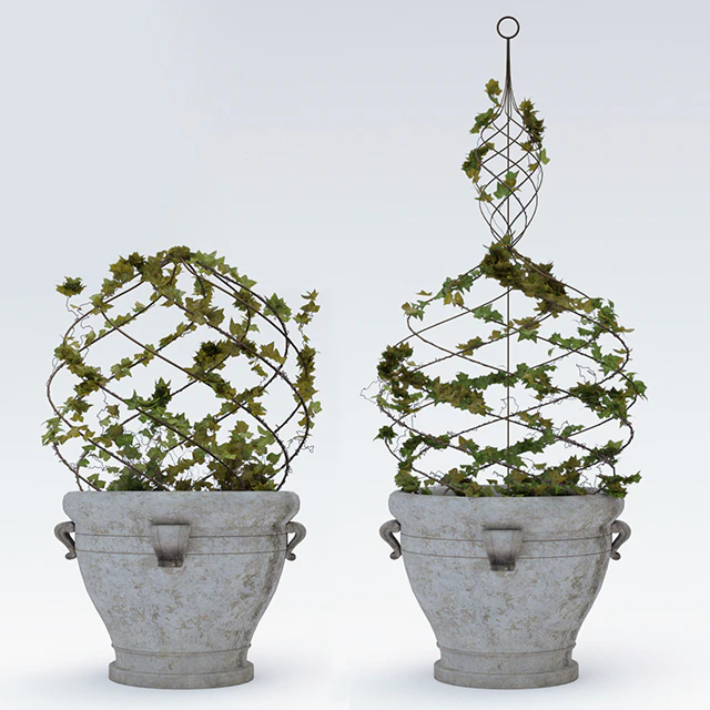 Pottery Barn/Live Ivy Spiral Topiary — Скачать
