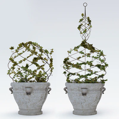 Pottery Barn/Live Ivy Spiral Topiary — Вид 3