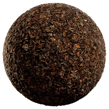 dry fallen leaves 019 — Descargar