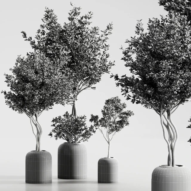 Indoor Plant 09 — Скачать