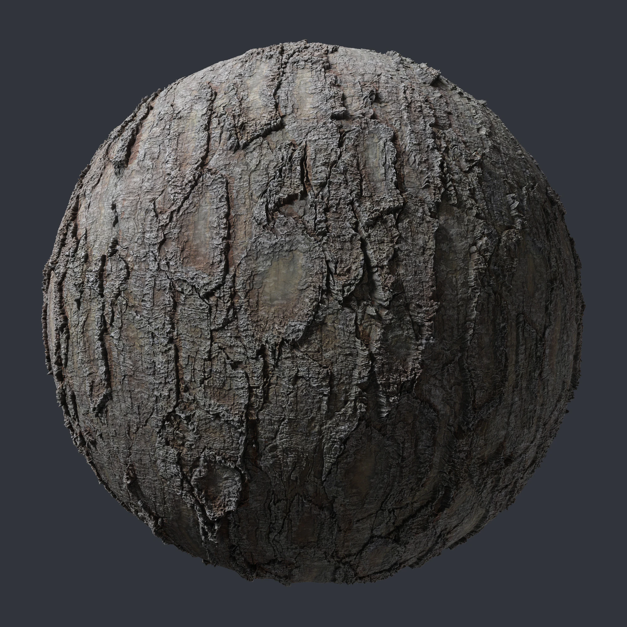 tree bark — Download