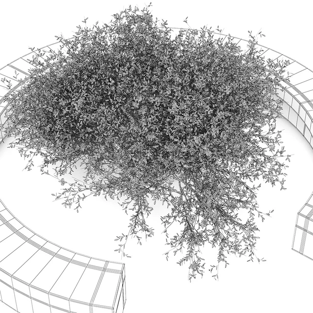 COMB BY VORA ARQUITECTURA Tree Bench — Descargar