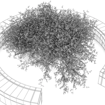 COMB BY VORA ARQUITECTURA Tree Bench — Ver 3