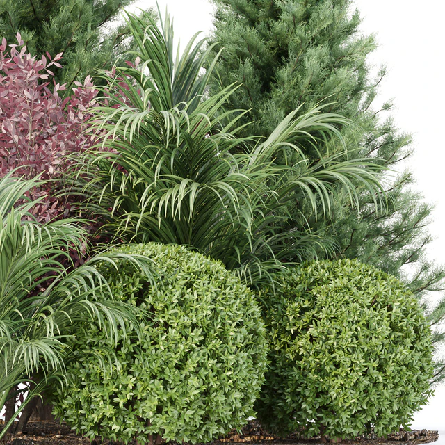 Garden collection vol 196 — Descargar