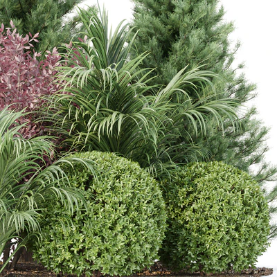 Garden collection vol 196 — Ver 6