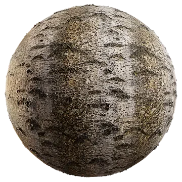 birch bark 007 — Скачать