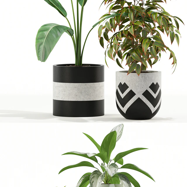 Plants collection 114 — Descargar