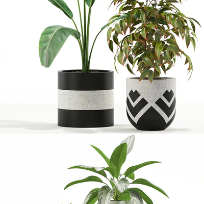 Plants collection 114 — Ver 3