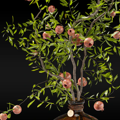Pomegranate branches in pharmacy bottles — Ver 5