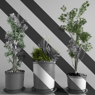 flower collection 3p — Ver 3