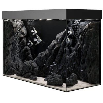 Aquarium — Ver 5