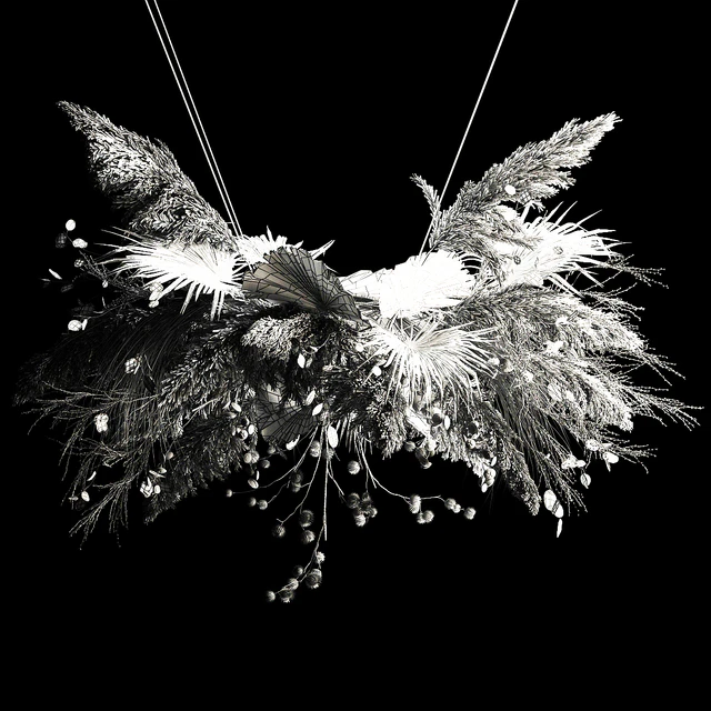 Hanging bouquet of dried flowers, palm branch, pampas grass, dry reeds, lunnik, thorn 270. — Descargar