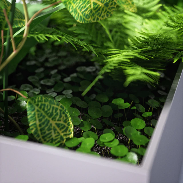 partition plant — Скачать
