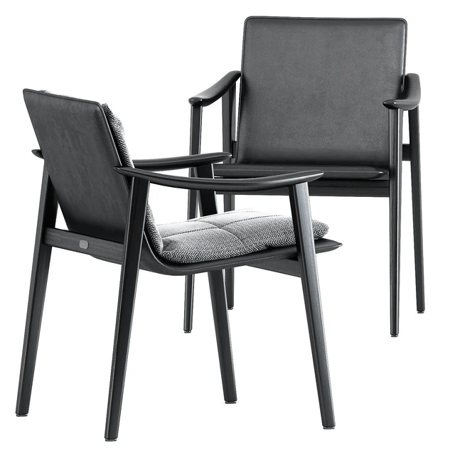 FYNN chair 2 by Minotti — Descargar