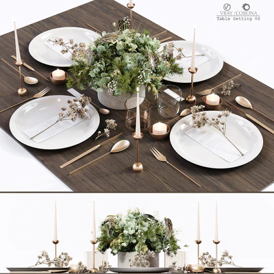 Table Setting 06 — Вид 1