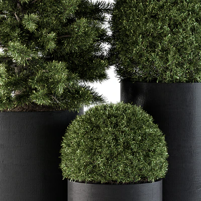 Outdoor Plants tree in Concrete Pot - Set 110 — Ver 4