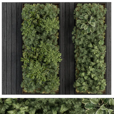 Vertical Garden Black Frame - Wall Decor 38 — Ver 1