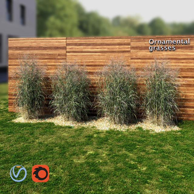 Ornamental grass red-green — Скачать
