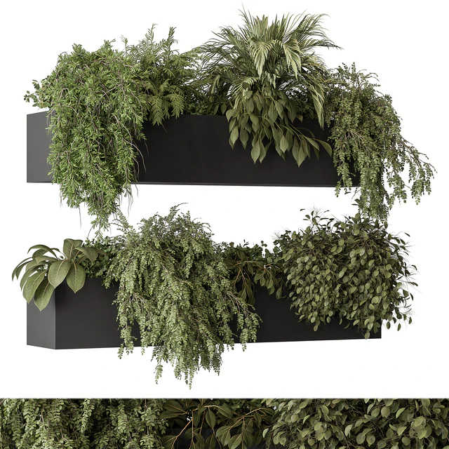 indoor Plant Set 297 - Hanging Plants — Descargar