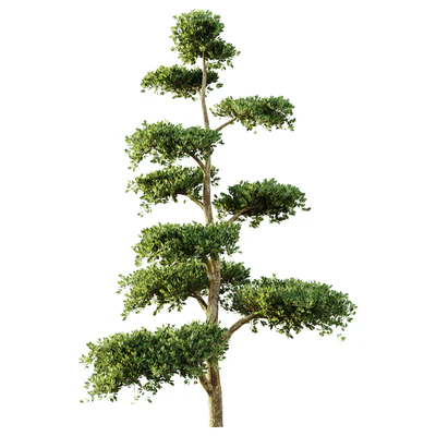 tree set 04 — Вид 5