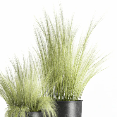 Collection of plants in black metal pots with bush grass grass. Set 1004. — Ver 5