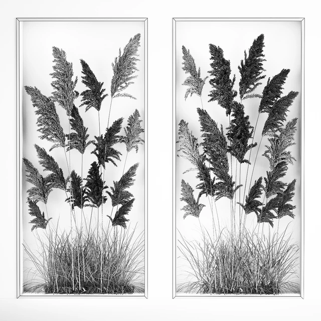 Phytomodule, phytobox and a vertical garden of dried flowers in a niche behind translucent glass cortaderium. Bouquet 282. — Descargar