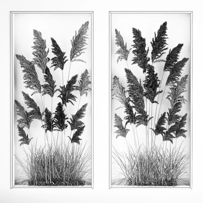 Phytomodule, phytobox and a vertical garden of dried flowers in a niche behind translucent glass cortaderium. Bouquet 282. — Ver 6