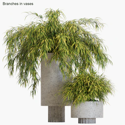 Branches in vases #14 : Hakonechloa — Скачать