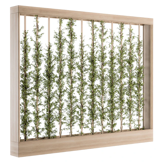 Vertical Garden Wood Frame - Plants Partition 22 — Скачать