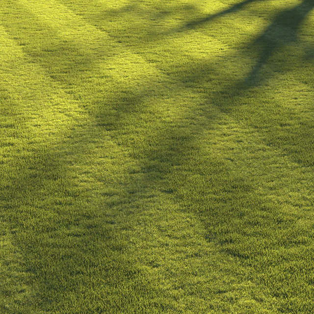 Football pitch lawn — Скачать