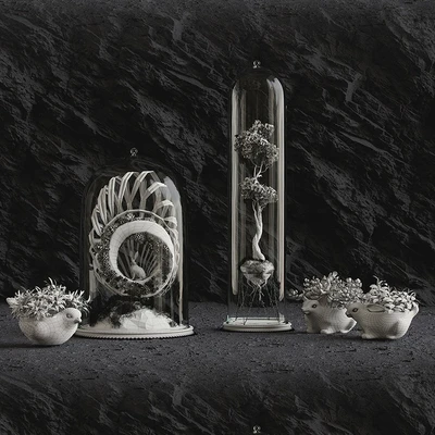 Florarium — Ver 3