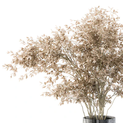 Dry plants 43 - Dried Plant Pampas — Ver 4