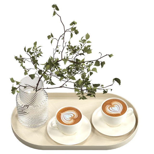 Two cups of cappuccino on a tray — Descargar