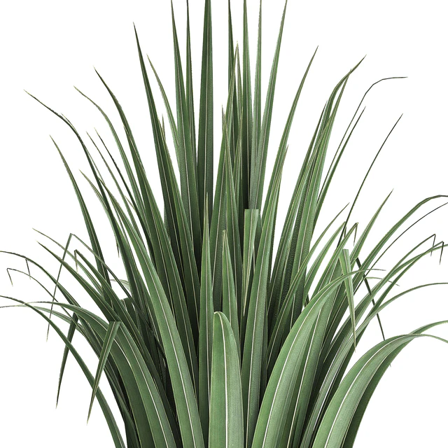 Plant collection 281. Monstera, brachea, palm tree, horsetail, indoor plants, pot, Scandinavian style, bushes, exotic, indoor — Descargar