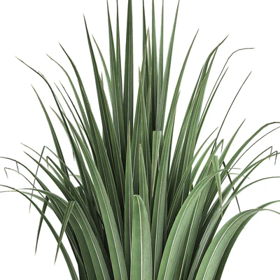 Plant collection 281. Monstera, brachea, palm tree, horsetail, indoor plants, pot, Scandinavian style, bushes, exotic, indoor — Ver 3