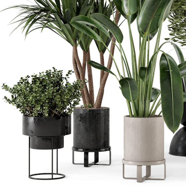 Indoor Plants in Ferm Living Bau Pot Large - Set 312 — Скачать