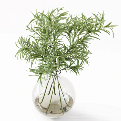 Collection Indoor Plants 049 — Ver 5