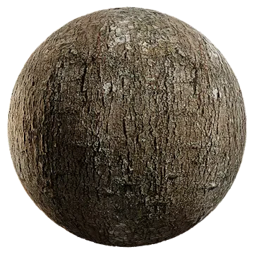 alder bark 003 — Descargar